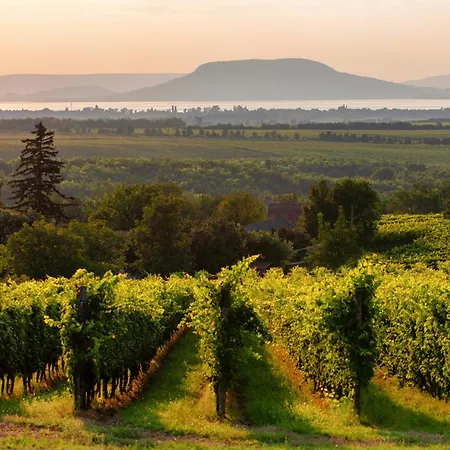 Σπίτι διακοπών In 54938 Balatonmáriafürdő